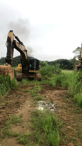 尹遙---造大美南湖，創(chuàng)“岳陽(yáng)速度”
